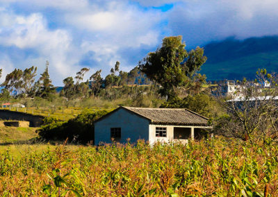 Galería 10